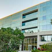 Near USF